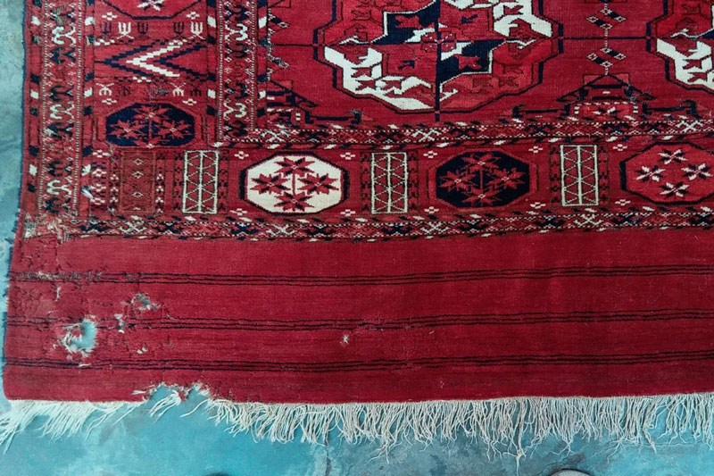 Как предотвратить появление моли Как предотвратить появление моли